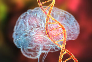 genetic brain disorders, conceptual illustration